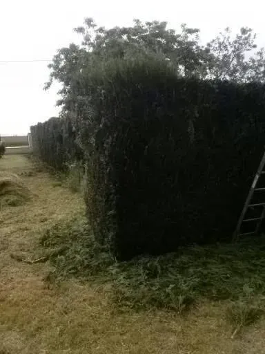 débroussaillage près de Ingré 